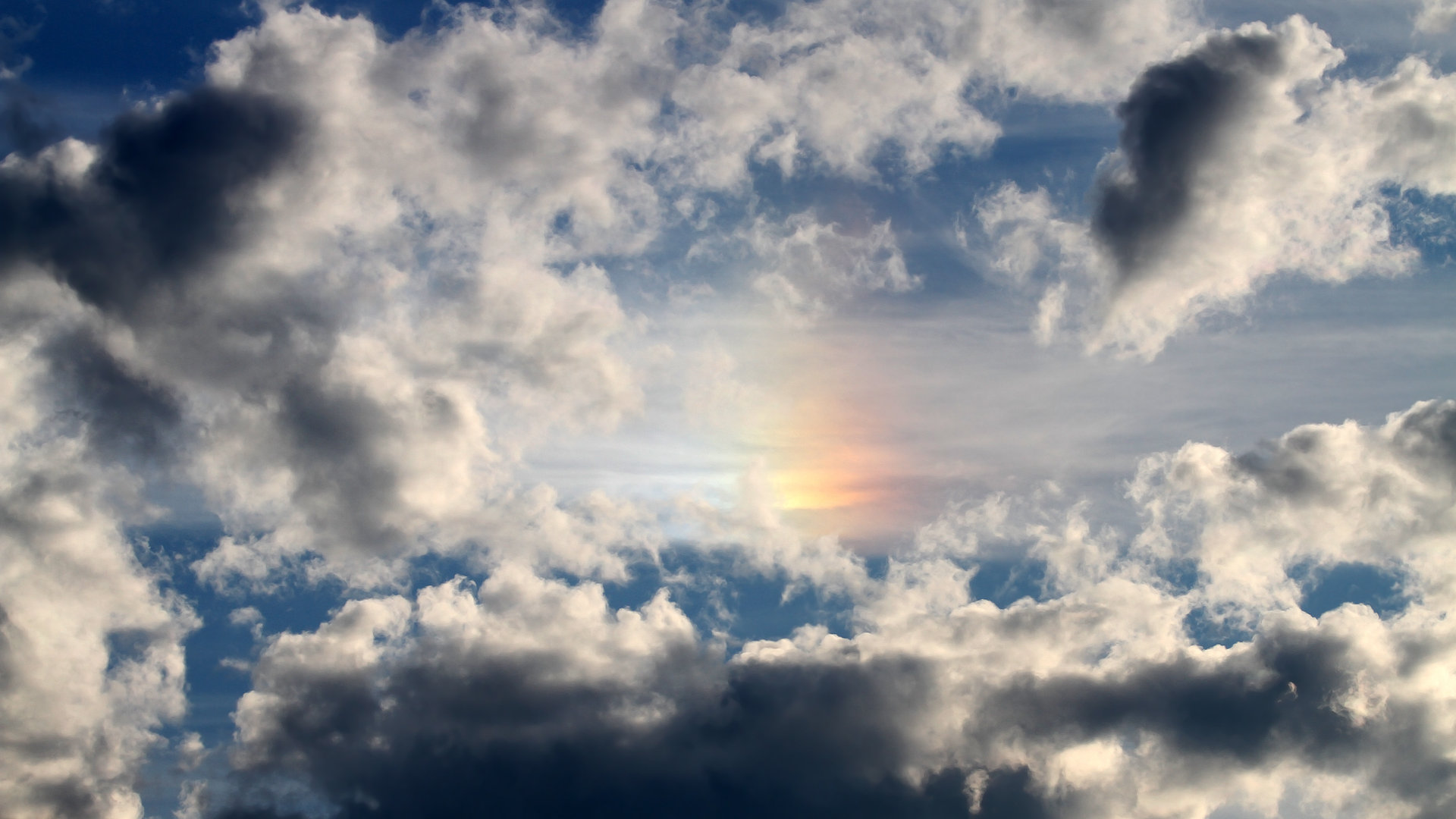 开云体育官网下载安装-哥伦比亚女足在巴黎奥运会上表现出色，赢得多场比赛，哥伦比亚足球美女