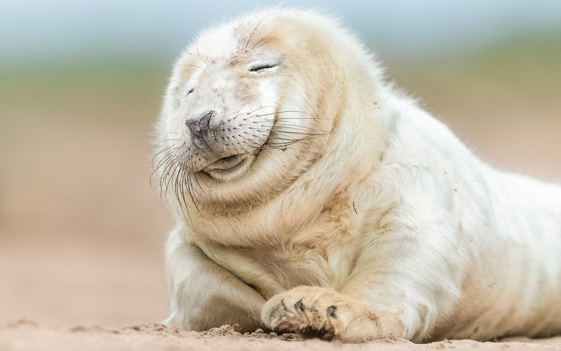 开云首页登录-埃文·富尼耶（Evan Fournier）确认将代表法国出战巴黎奥运会，埃文富尼埃