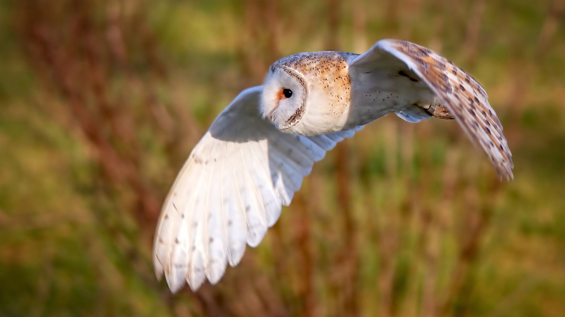 大师讲堂:台球技巧的奥秘揭秘,台球技术讲解
